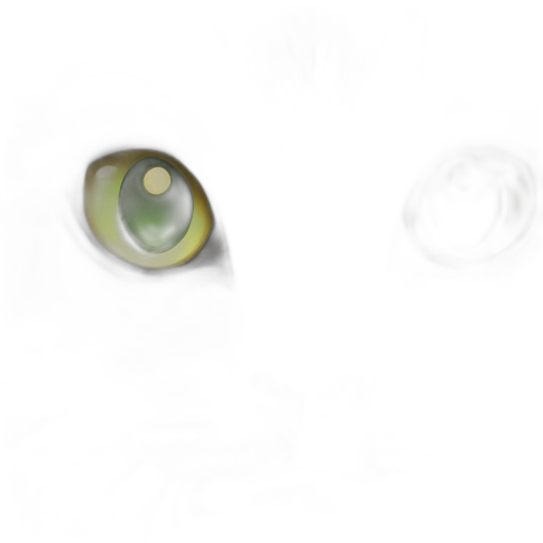 black fluffy cat with gold eyes and white cat with green eyes emoji