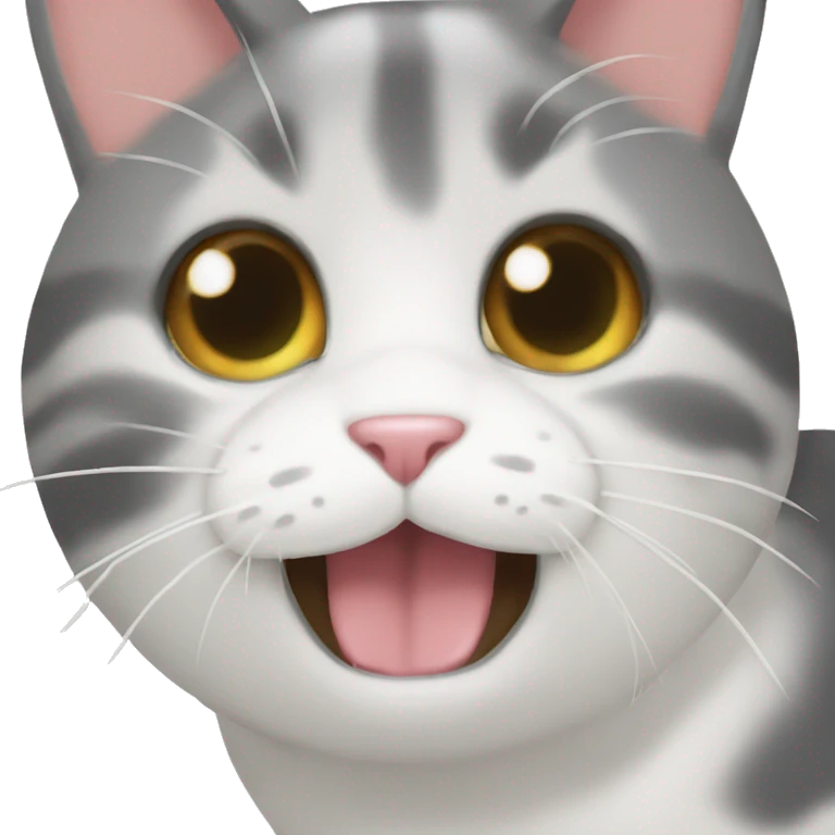 뚱뚱한 랙돌 고양이 emoji
