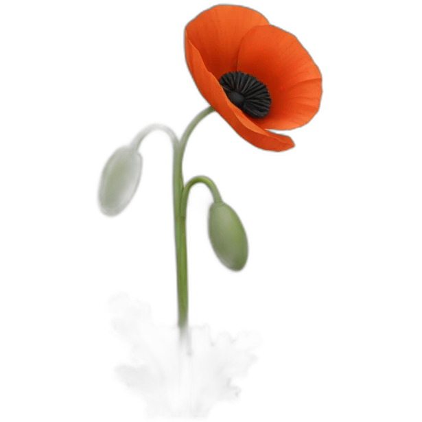 Poppy emoji