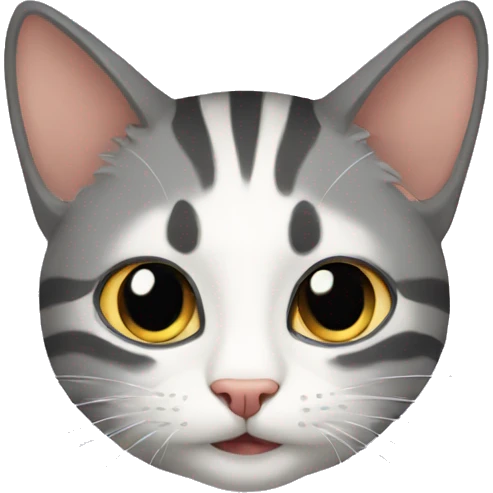 Gatos  emoji