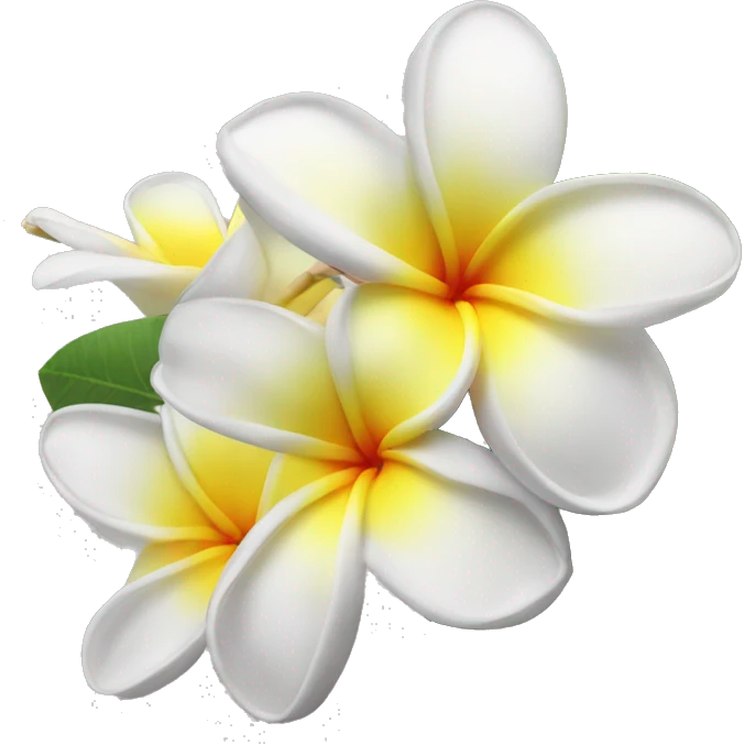Plumeria flower emoji