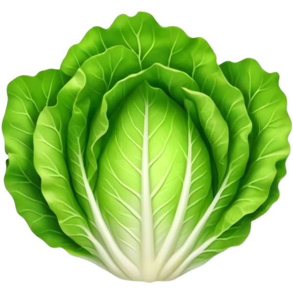 lettuce leaf on a plate emoji