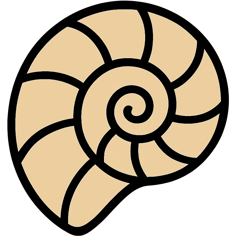 Beige ammonite fossil shell with spiral pattern and black outlines emoji