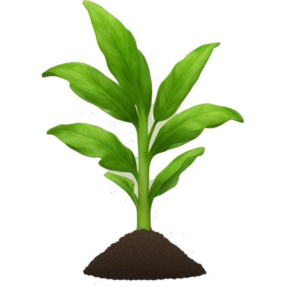 planta de trigo emoji