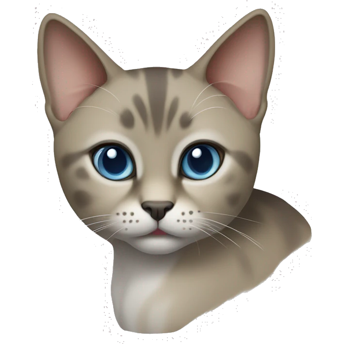 Thai breed cat with a light cream-brown body, dark gray face, ears, and paws. Short fur, sharp ears, and striking light blue eyes with an intense gaze. emoji