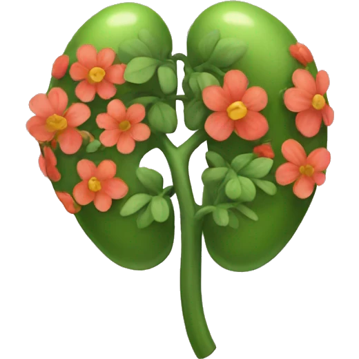 Floral kidney  emoji