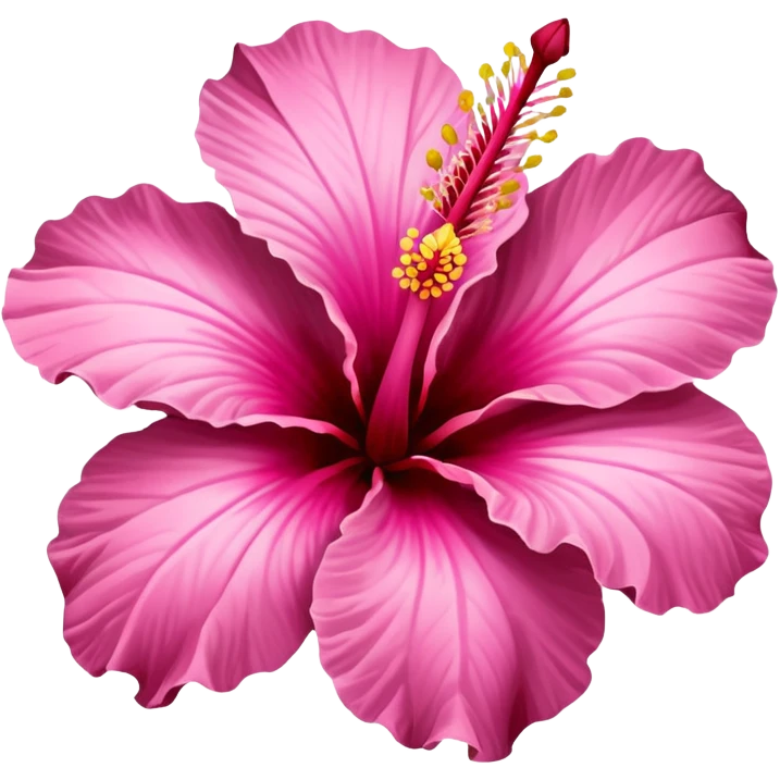 PINK HIBISCUS FLOWER emoji