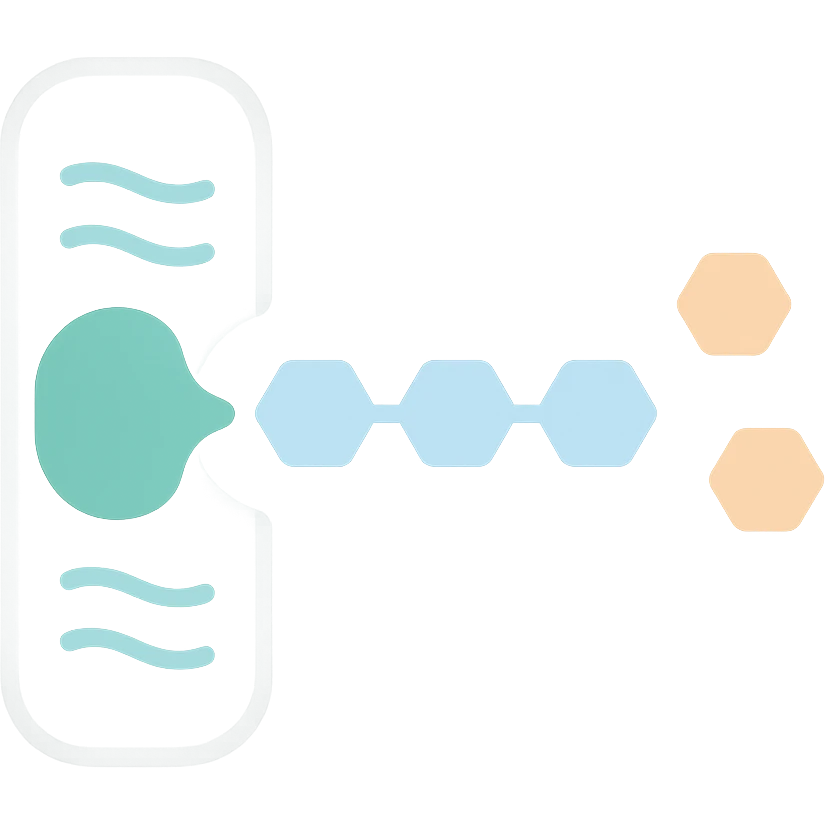 Ultra-detailed illustration of enzyme digestion: amylase breaking starch into sugars near a cell membrane. Clean white background, no text. Scientific but simple emoji