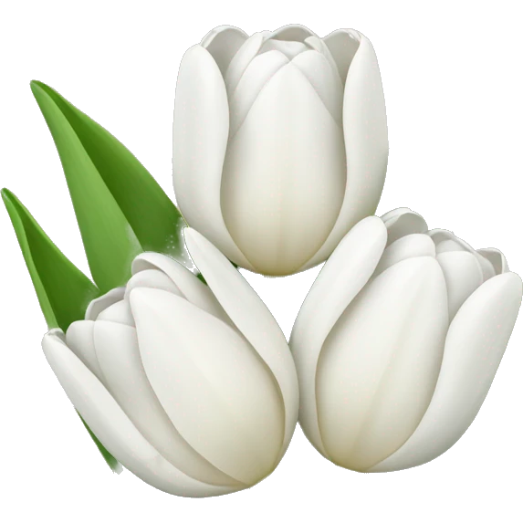 white tulip bouquet  emoji