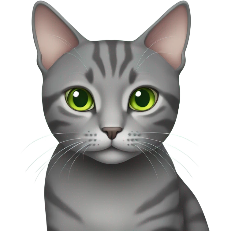 Solid Gray domestic shorthair cat with green eyes  emoji