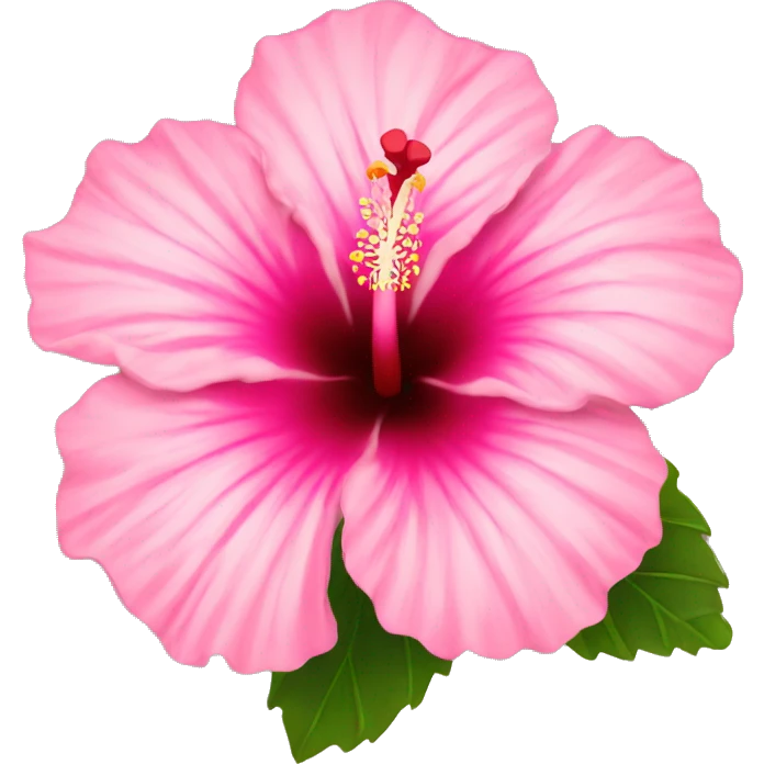 Pink hibiscus  emoji