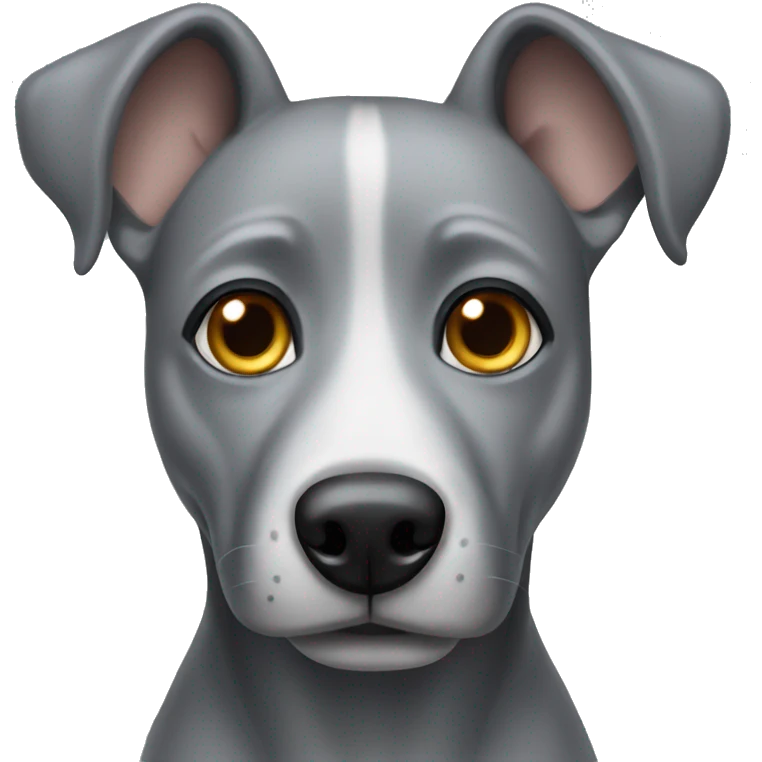 Grey dog with grey eyes  emoji