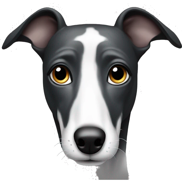 Black and white greyhound  emoji