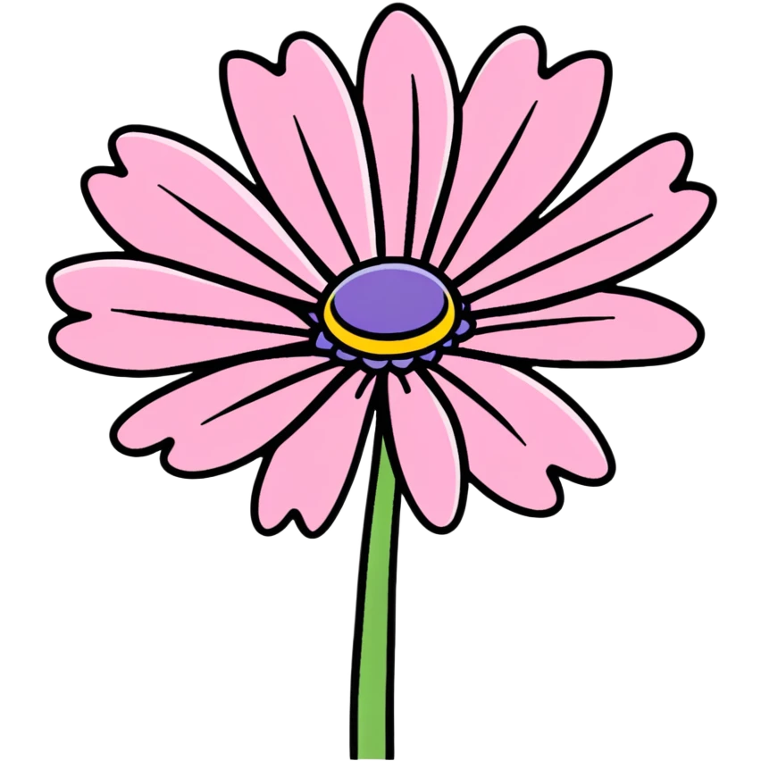 pink African daisy flower, Osteospermum, single flower with pink petals emoji