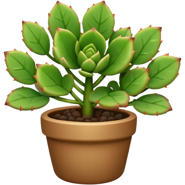 plant with small succulent like leaves emoji