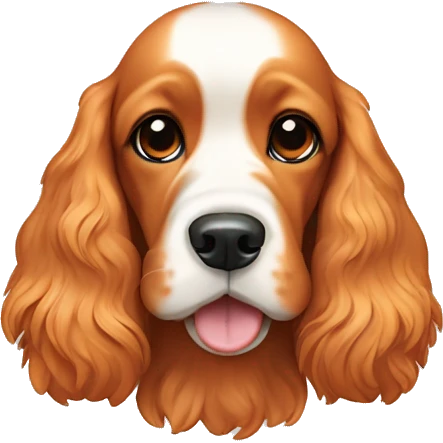 Cocker spaniel dog, color orange and white  emoji