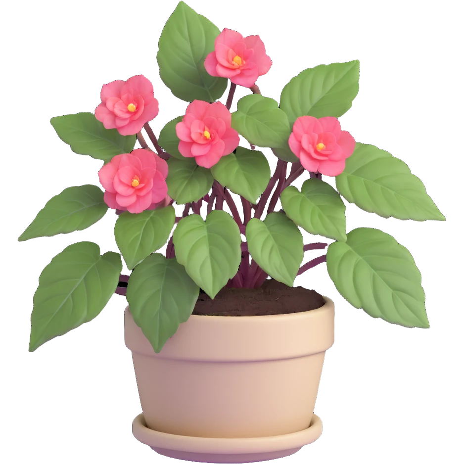 Begonia Rex with greenish-purple spiral center leaves in a beige pot emoji