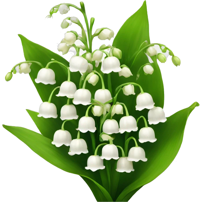 White Lily of the valley flowers bouquet  emoji