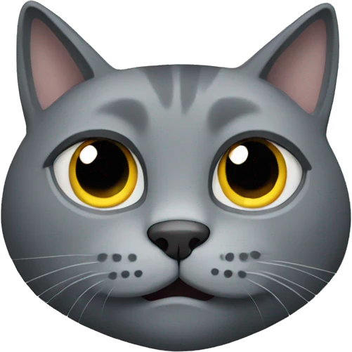 Grey cat hiding emoji