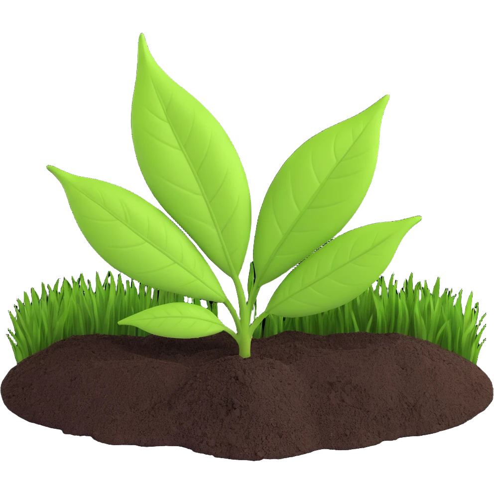 A fresh green leaf placed on soil or grass, clearly above the ground. emoji