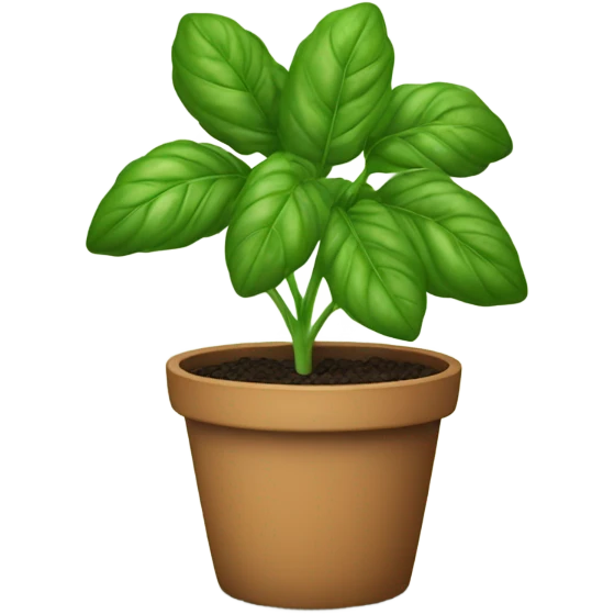Basil pot plant emoji