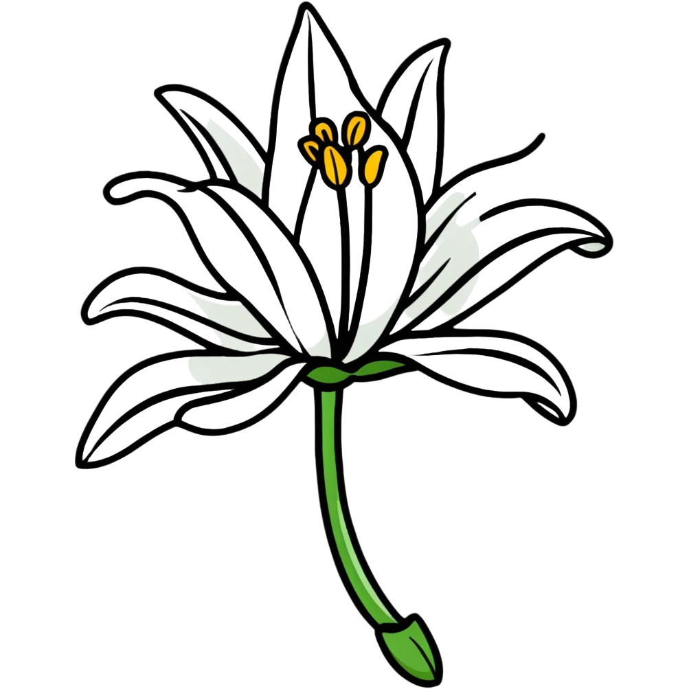 white lily emoji
