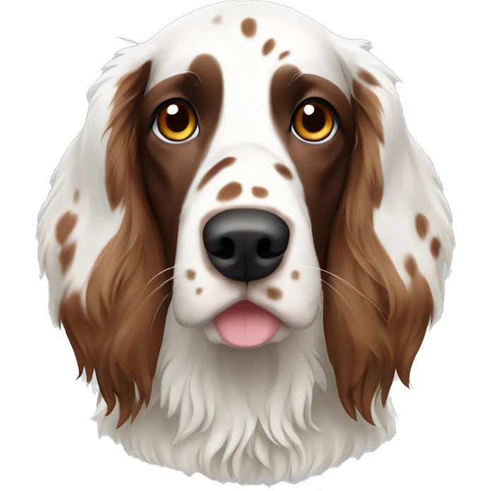 White and brown english setter with Brown ears  emoji