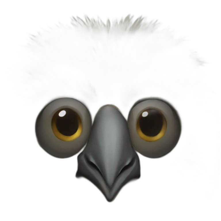 indian kiwi emoji