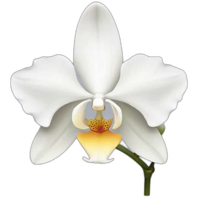 White orchid flower emoji