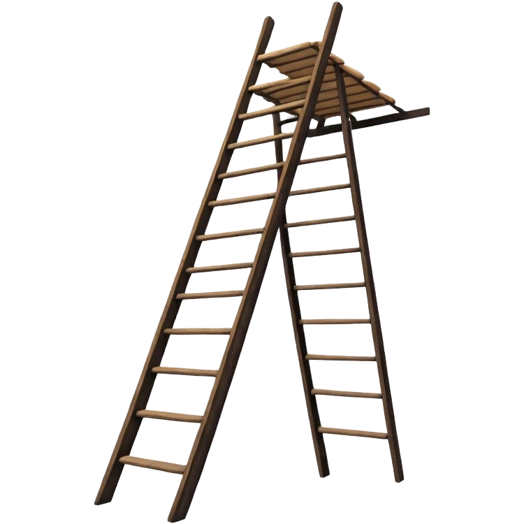 Simple wooden frame, vertical ladder, basic mattresses, often in children's homes or military barracks. emoji