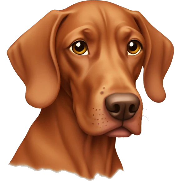 Old vizsla emoji