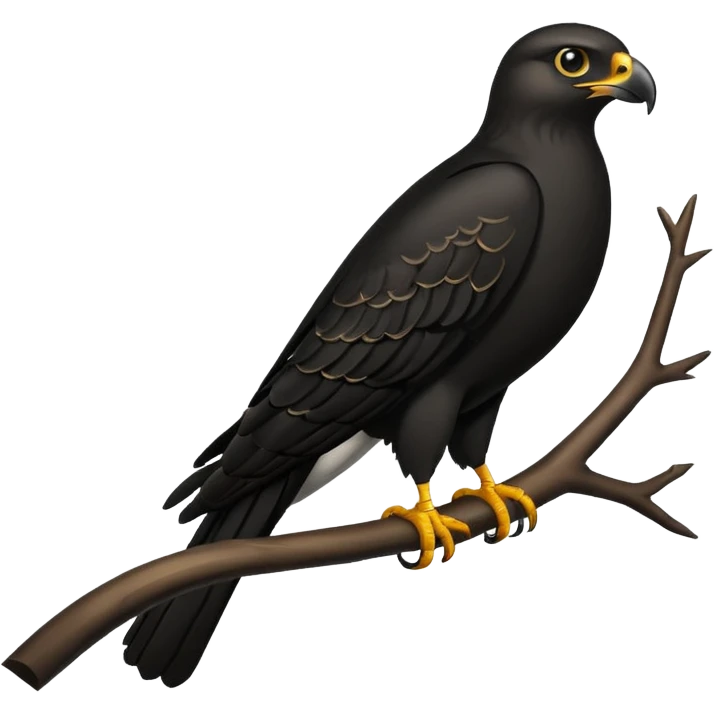 black hawk bird emoji