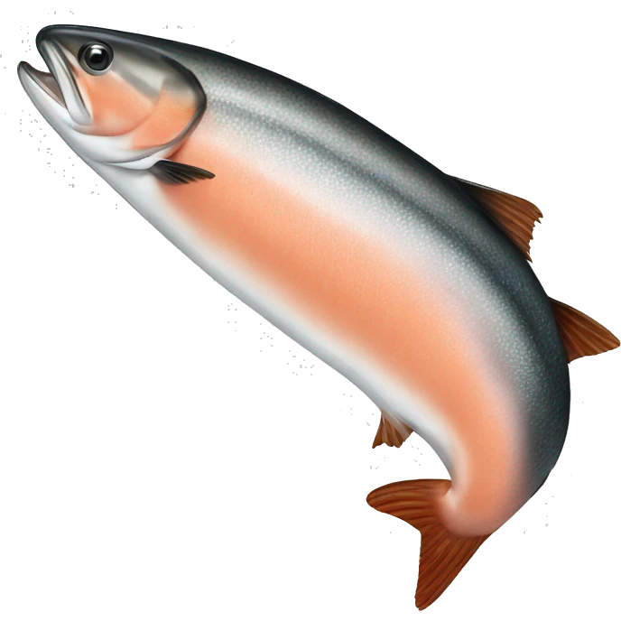 Salmon  Fillet emoji