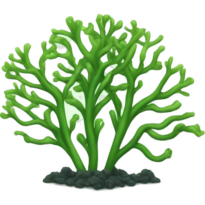 seaweed emoji