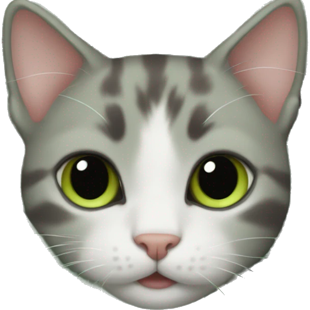 Kitten in a sage green blanket emoji