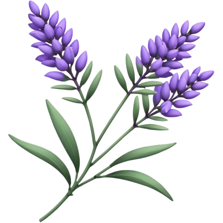 Lavender  emoji
