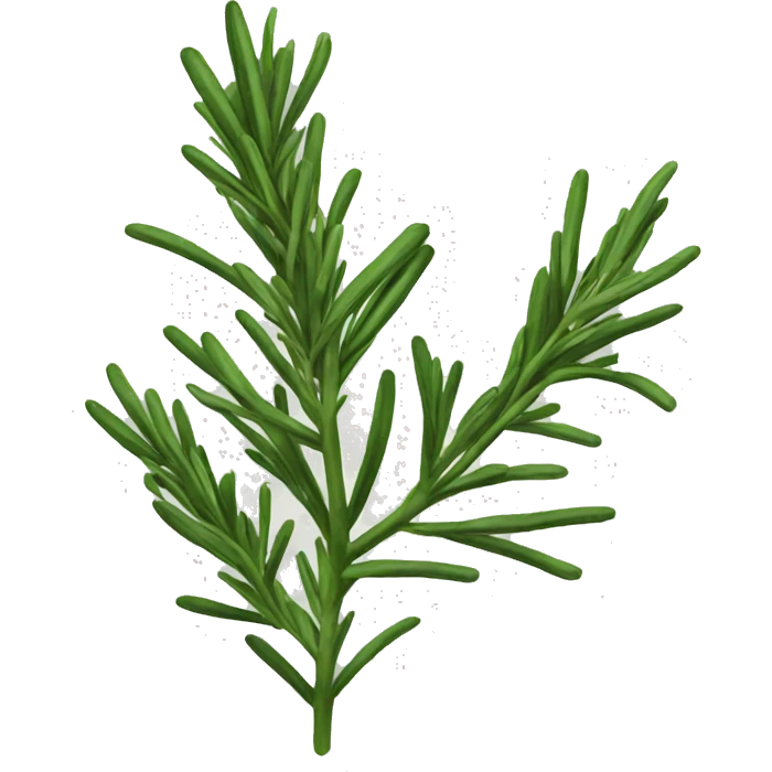 Rosemary emoji