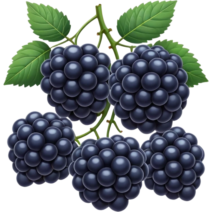 blue blackberries emoji
