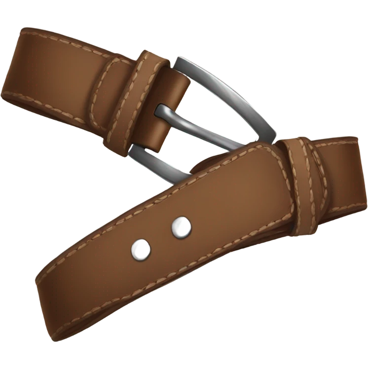 Brown belt emoji