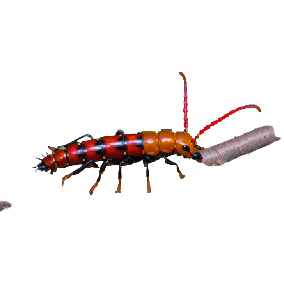 earwig on a tree branch emoji