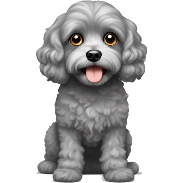 Gray Cavapoo emoji