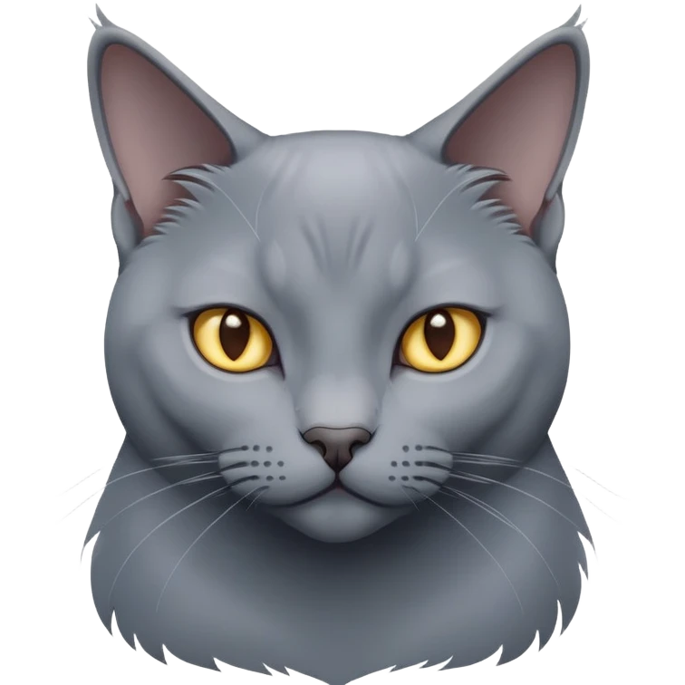 Кот породы "русская голубая" с надменным взглядом  emoji