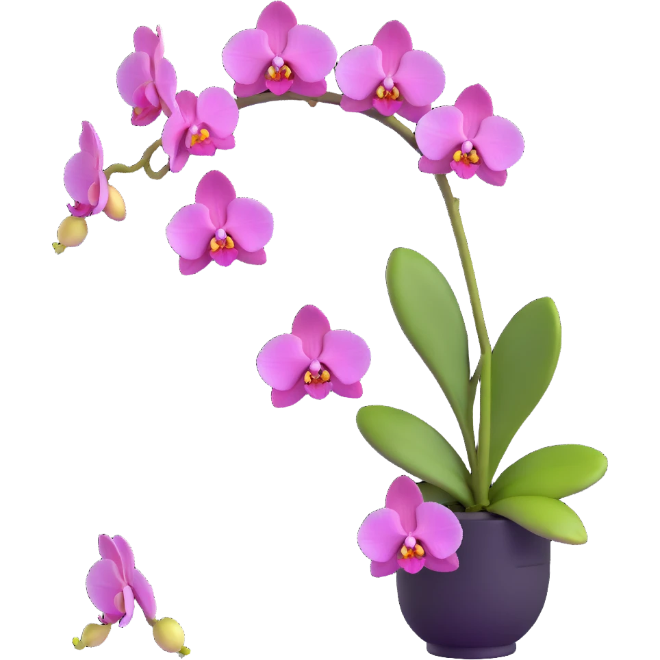 Detailed phalaenopsis moth orchid with realistic texture, elegant arching stem and multiple blooms emoji