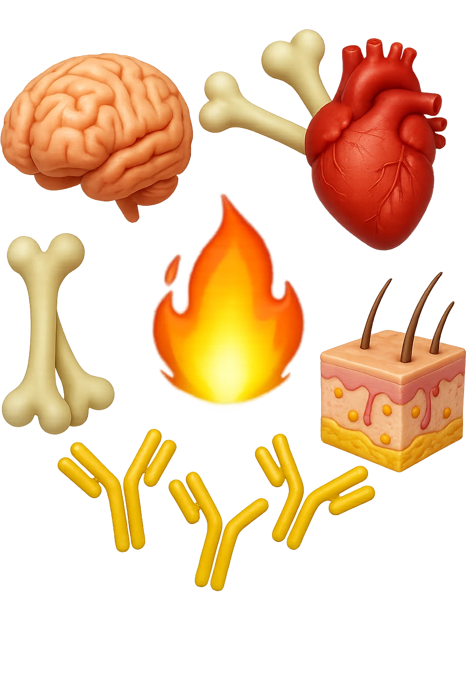EMOJI STILE IPHONE 3D DI cervello, ossa, cuore, porzione di epidermide e cellule di anticorpi che girano in tondo, al centro di questi elementi c'è una fiamma 3d  FALLO MOLTO REALISTICO IN 3D emoji