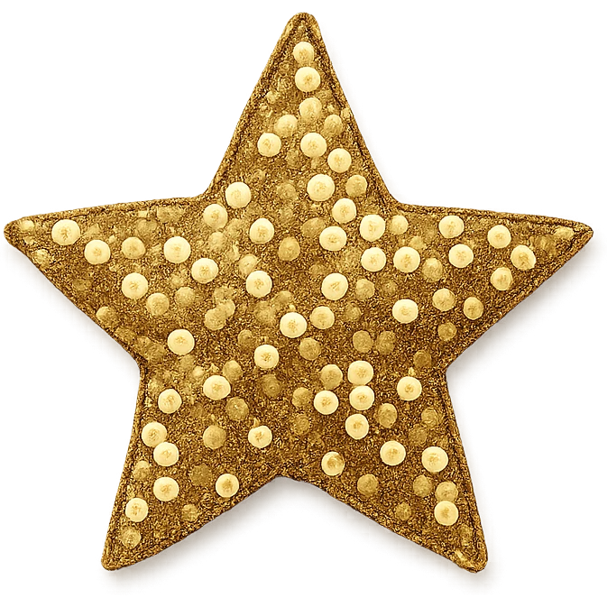 tiny star with a sequin texture, glamorous and stylish emoji