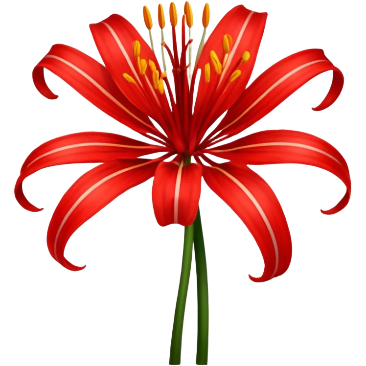 Uma flor de Lycoris radiata emoji