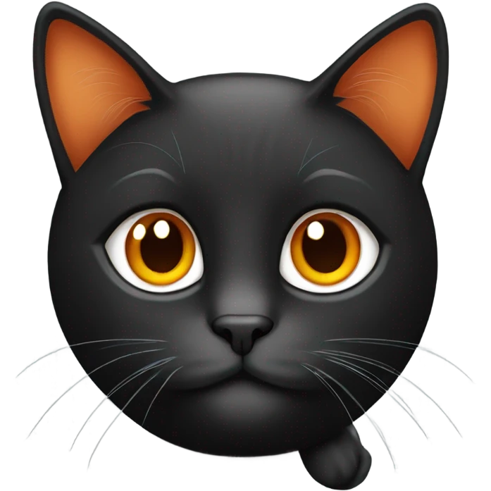 Black and orange cat emoji