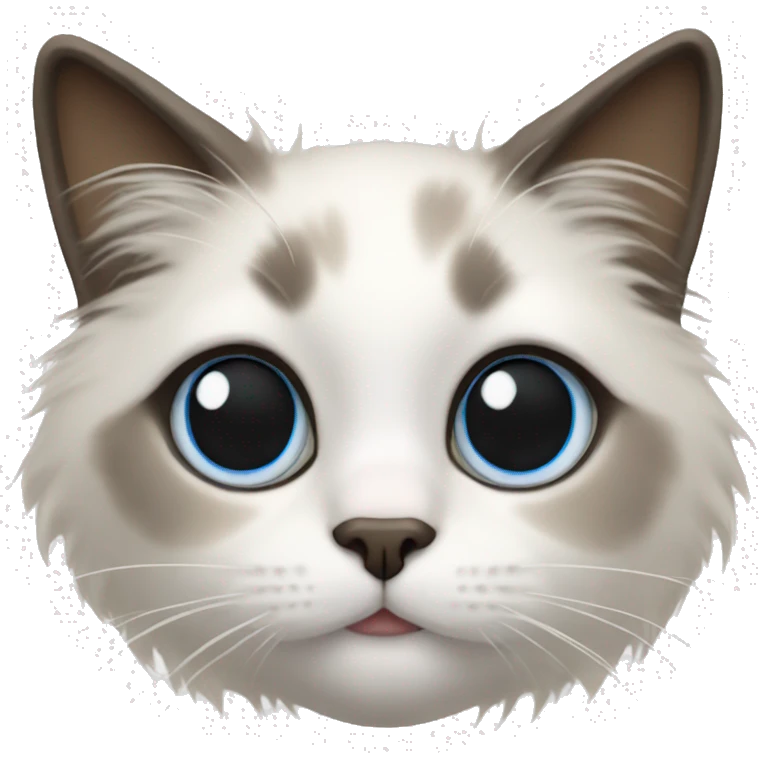 Ragdoll cat  emoji