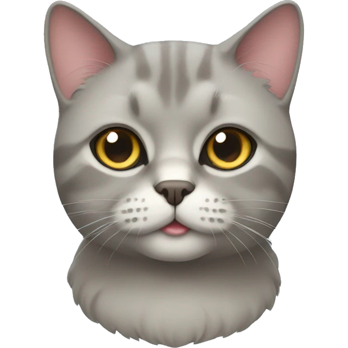 British cat  emoji