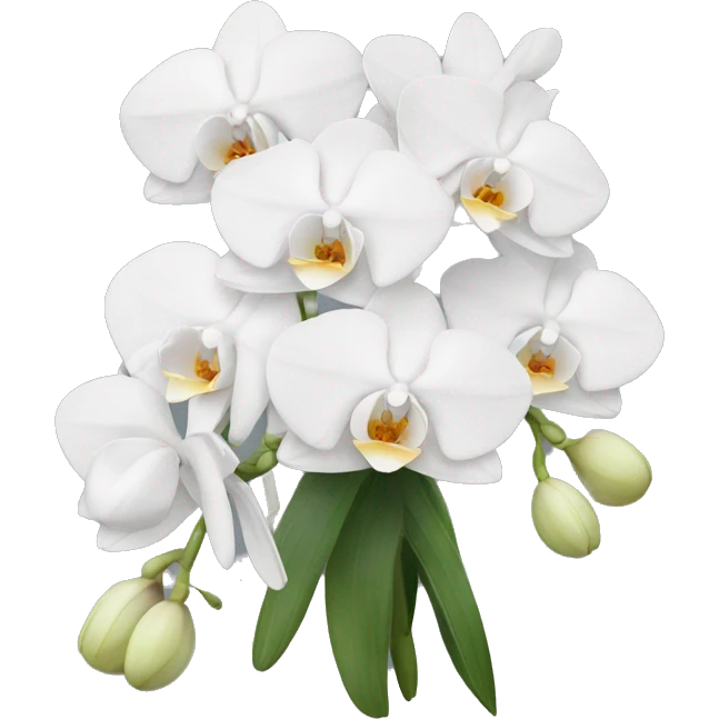 White orchid bouquet  emoji